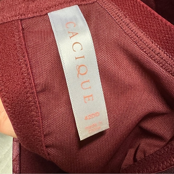 Cacique Smooth Lightly Lined Full Coverage No-Wire Bra Zinfandel Lace Size 42DD - Picture 3 of 6